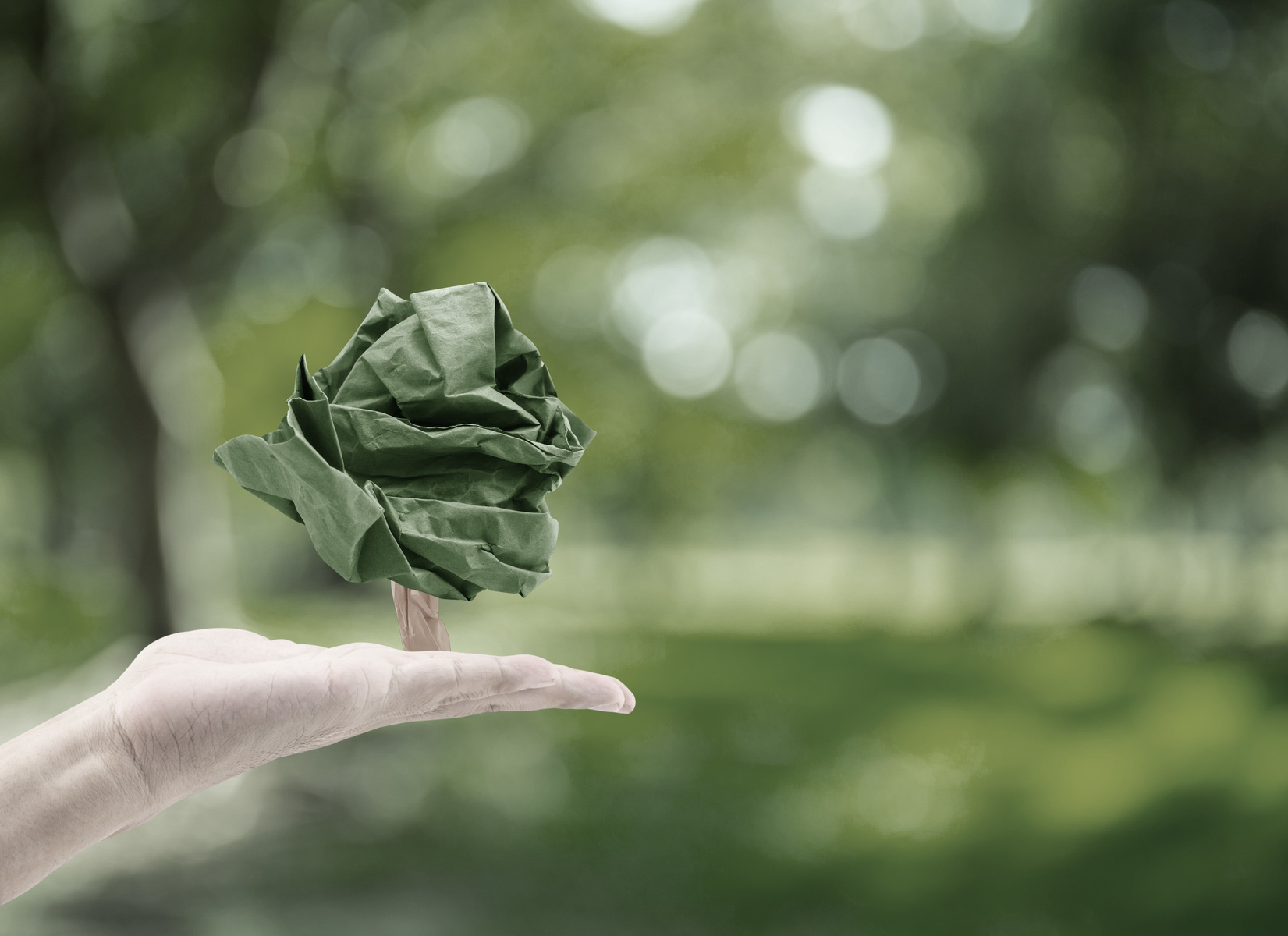 file1edit-shutterstock-390526333